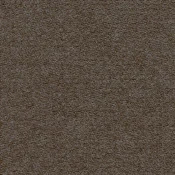 Wykładzina dywanowa w rolce Forbo Showtime Colour 900274 espresso