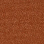 Wykładzina dywanowa w rolce Forbo Showtime Colour 900276 terracotta