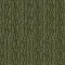980603 Arbor moss
