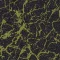 980701 Onyx lime