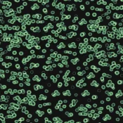 Wykładzina flokowana Forbo Flotex Sottsass 990102 Bacteria