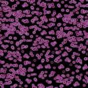 Wykładzina flokowana Forbo Flotex Sottsass 990104 Bacteria