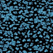Wykładzina flokowana Forbo Flotex Sottsass 990105 Bacteria