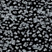 Wykładzina flokowana Forbo Flotex Sottsass 990106 Bacteria