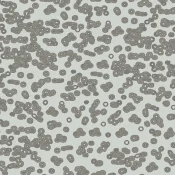 Wykładzina flokowana Forbo Flotex Sottsass 990201 Bacteria