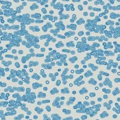 Wykładzina flokowana Forbo Flotex Sottsass 990202 Bacteria