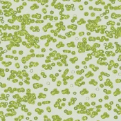 Wykładzina flokowana Forbo Flotex Sottsass 990203 Bacteria