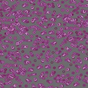 Wykładzina flokowana Forbo Flotex Sottsass 990301 Bacteria