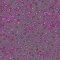 990301 Bacteria