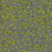 Wykładzina flokowana Forbo Flotex Sottsass 990302 Bacteria
