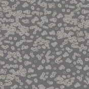 Wykładzina flokowana Forbo Flotex Sottsass 990304 Bacteria
