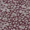 990402 Bacteria