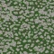 990403 Bacteria