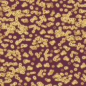 Wykładzina flokowana Forbo Flotex Sottsass 990501 Bacteria