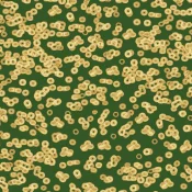 Wykładzina flokowana Forbo Flotex Sottsass 990502 Bacteria