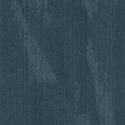 Latitude tempest