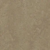 Wykładzina linoleum Forbo Marmoleum Modular Neutral t3252 sparrow