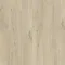 AVMPU40103 Dąb bawełniany beżowy