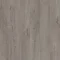 AVMPU40202 Dąb bawełniany przytulny szary