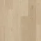AVSPT40322 Dąb Coast piaskowy