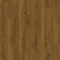 CLM5793 Dąb brązowy kakao