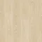 CLM5799 Dąb szroniony beżowy