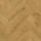 SGHBC20335 Dąb jesienny naturalny
