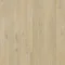 SGMPC20328 Dąb lniany szary
