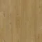 SGMPC20329 Dąb lniany średni naturalny