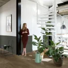 Panele winylowe LVT Quick-Step Fuse| Wykładziny Warszawa