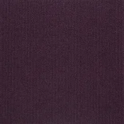 dark-violet