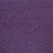 lilac-iris