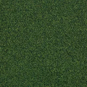 Wycieraczki w płytkach Burmatex Armour armour - cactus thorn