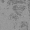 34603 norse grey