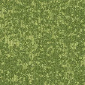 balance-ratio-greenery-moss