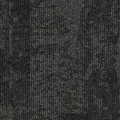 34601 polar black
