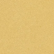 Novoflor-Extra-AMOS-2015-86