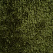 Wykładzina dywanowa w rolce ITC Natural Luxury Flooring Singapore 18742