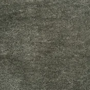 42005