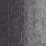410