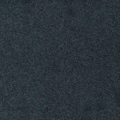 569