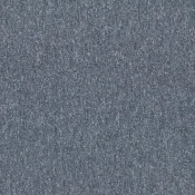 582