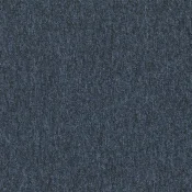 592