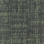 CORE_659