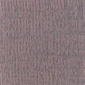 ETCH GRADIENT_398