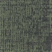 ETCH GRADIENT_659