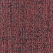 ETCH_389