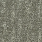 IVY-697