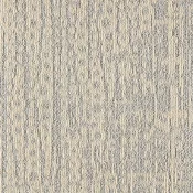 MEZZO GRADIENT_208
