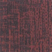 MEZZO GRADIENT_389
